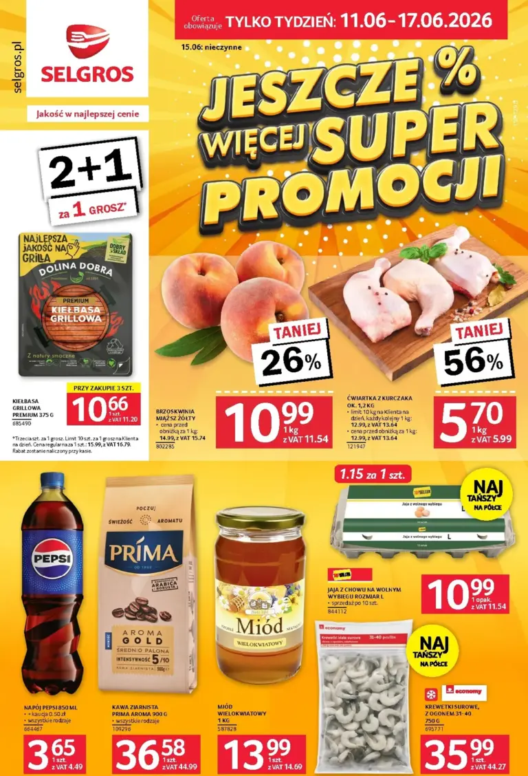 Selgros Cash&Carry Gazetka od 11.06.2026