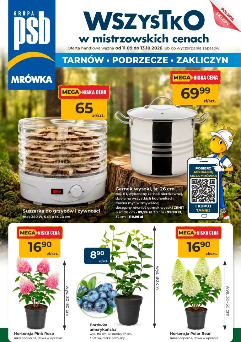 Mrówka Gazetka od 11.09.2026